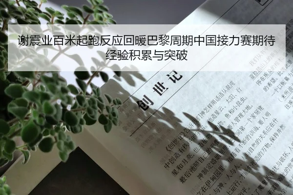 谢震业百米起跑反应回暖巴黎周期中国接力赛期待经验积累与突破